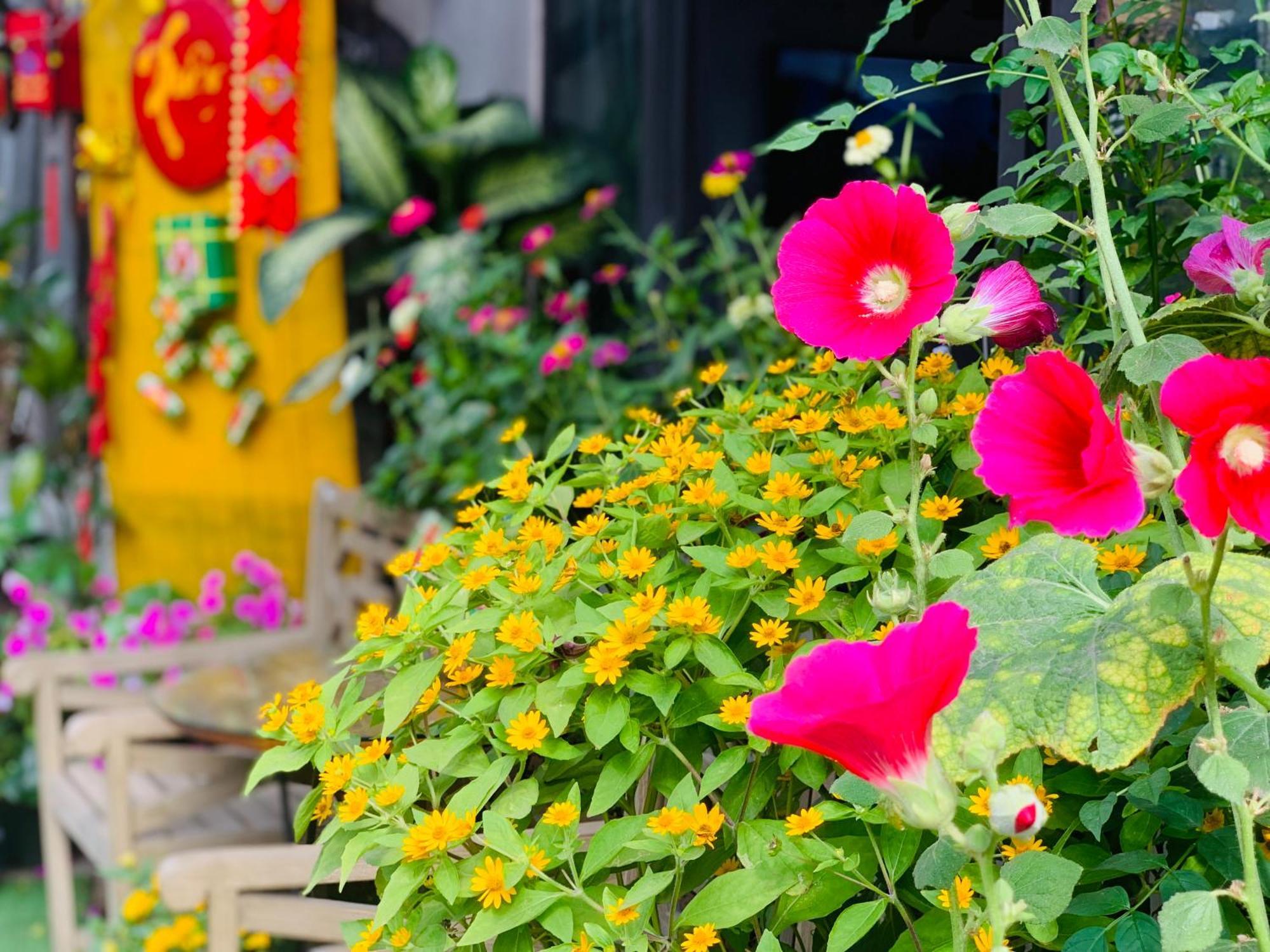 May'S House Hoi An Bagian luar foto